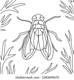 Cartoon icon of an insect fly in the bushes. Coloring book for children and adults. Isolated object on a white background, hand drawing in line art style. For the design of coloring books, biology te