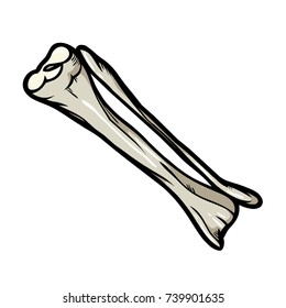 cartoon icon tibia isolated on white background