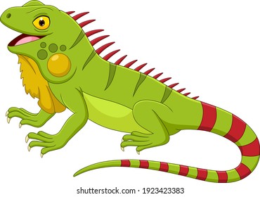 Cartoon Iguana Isolated On White Background