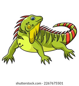 Cartoon iguana isolated on white background