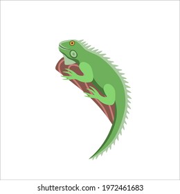 Cartoon iguana on a white background.Flat cartoon illustration for kids.
