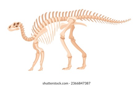 Cartoon iguanodon fossil. Dinosaur skeleton, jurassic raptor bones, ancient ornithopod dino flat vector illustration. Archaeological fossil skeleton