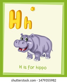Cartoon Illustrated Alphabet Flashcard. Preschool Educational Illustration. H is for Hippo. Cartoon Vector Hippopotamus  with Letter 