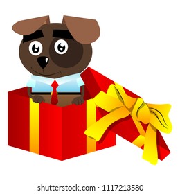 Cartoon illustrated business dog in a gift box.