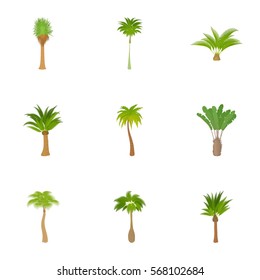 Cartoon illustration of 9 types of palm vector icons for web