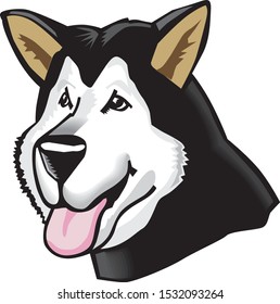 cartoon illustration of an alaskan malamute dog