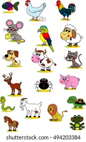 cartoon illustration animals