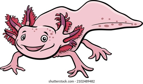 Cartoon illustration of axolotl aquatic animal character