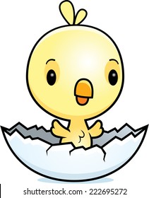 A cartoon illustration of a baby chick hatching from an egg.