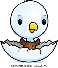 A cartoon illustration of a baby eagle hatching from an egg.