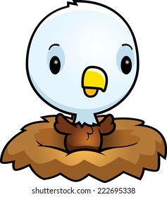 A cartoon illustration of a baby eagle in a nest.