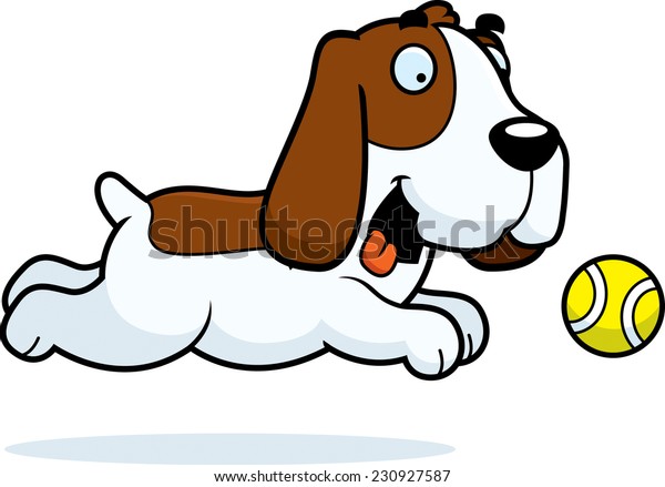 basset hound balls