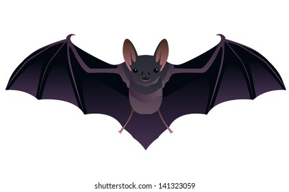 Cartoon illustration of bat, vector icon isolated on white background