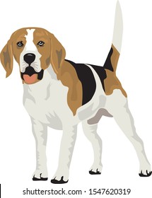 cartoon illustration of a beagle dog