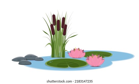 Cartoon Illustration Of A Beautiful Small Pond