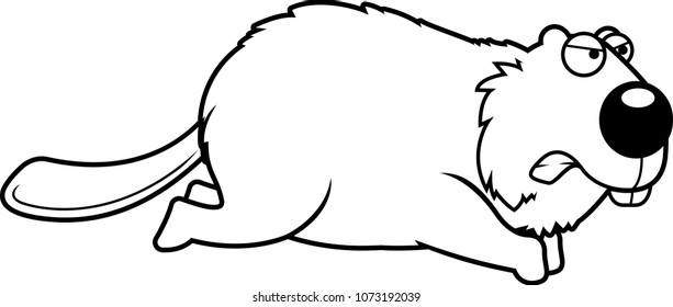 A cartoon illustration of a beaver angry and running.