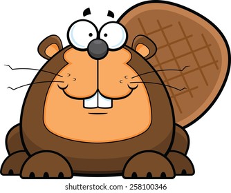 Beaver-tail Images, Stock Photos & Vectors | Shutterstock