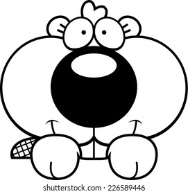 A cartoon illustration of a beaver kit peeking over an object.