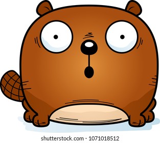 A cartoon illustration of a beaver looking surprised.