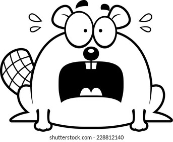 A cartoon illustration of a beaver looking terrified.