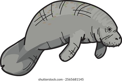 cartoon illustration of a big fat manatee swimming calmly with moss on its back