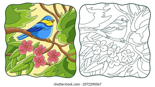 cartoon illustration bird on the tree book or page for kids