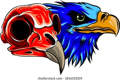 cartoon illustration of a bird skull vector