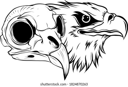 cartoon illustration of a bird skull vector
