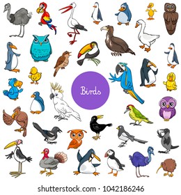 Cartoon Illustration of Birds Animal Characters Big Set