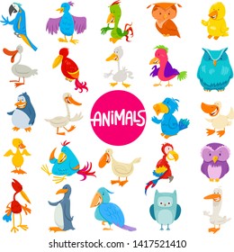 Cartoon Illustration of Birds Animal Characters Large Set