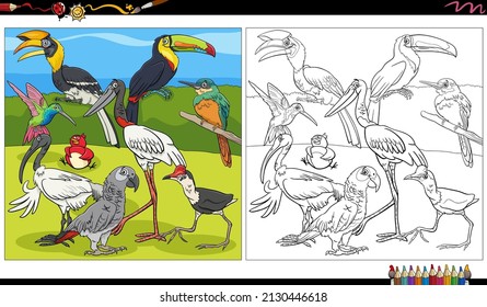 Cartoon illustration of birds animal characters group coloring book page