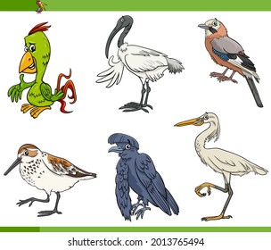 Cartoon illustration of birds animal species characters set