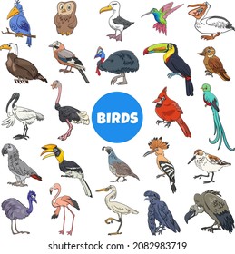 Cartoon illustration of birds species animal characters big set