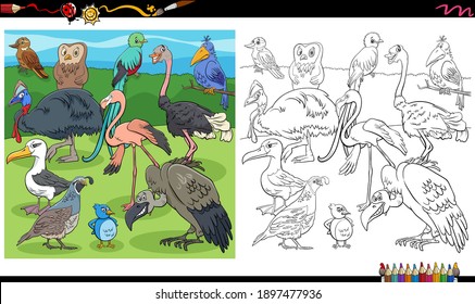 Cartoon illustration of birds wild animal characters group coloring book page