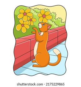 cartoon illustration The cat stands looking and touching the flower behind the high wall