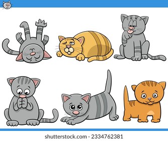 Cartoon illustration of cats and kittens comic animal characters set