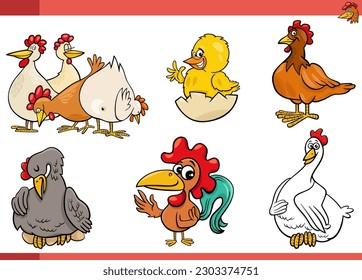 Cartoon illustration of chickens farm birds characters set