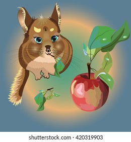 Cartoon illustration. Chinchilla and apple. Vector 10.