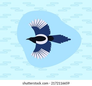 Cartoon illustration Chinese magpie in cloud. The national bird of Korea is the magpie. Black and white long-tailed bird. Wings and tail shine blue.