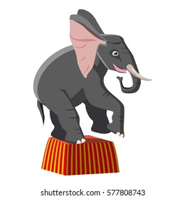 Cartoon illustration of circus elephant vector icon for web