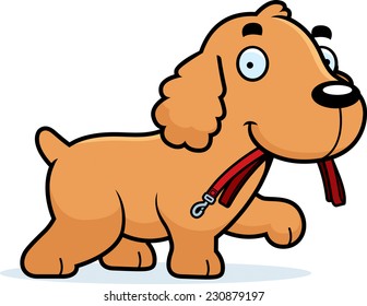 A cartoon illustration of a Cocker Spaniel walking with a leash in his mouth.