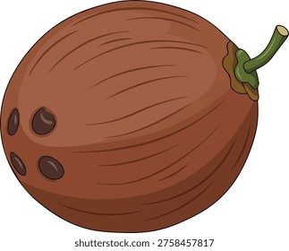 A cartoon illustration of a coconut, featuring a brown, textured husk and a small green stem. The coconut has three dark spots.