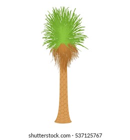 Cartoon illustration of coconut palm vector icon for web