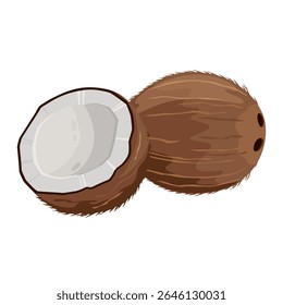 Cartoon illustration of Coconut tropical nut isolated of white background.