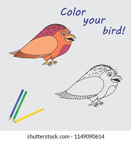 Cartoon Illustration of color yuor bird.  Educational Activity Game for Children. Paint. Сolour pencils. Vector. Black and White Cartoon Illustration. 