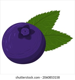 Cartoon illustration with colorful blueberry with green leaf. Farm market product. Vector hand drawn graphic. Single isolated art.