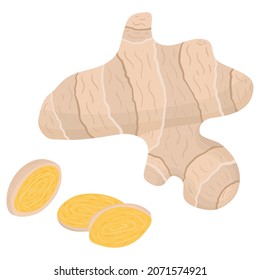 Cartoon illustration with colorful ginger root. Farm market product. Vector hand drawn graphic. Single isolated art.