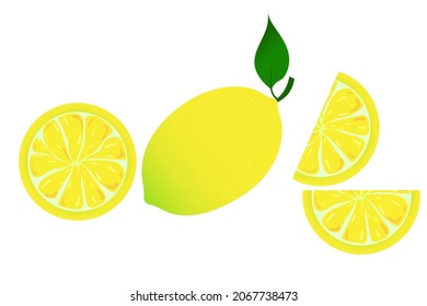 Cartoon illustration with colorful lemon on white background. Lemon wedges, whole lemon. Vector illustration. Stock image.