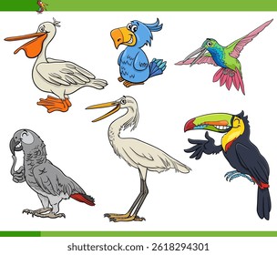 Cartoon illustration of comic birds animal species characters collection