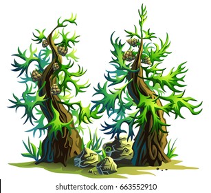 Cartoon illustration of a conifer tree (pines) with grass and stones. Vector game design.